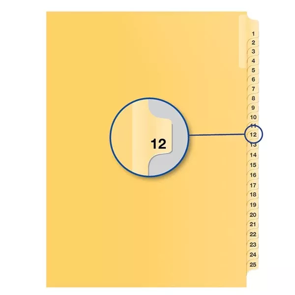 #12 BUFF 11" LITIG.DIVID (DAVB14012)