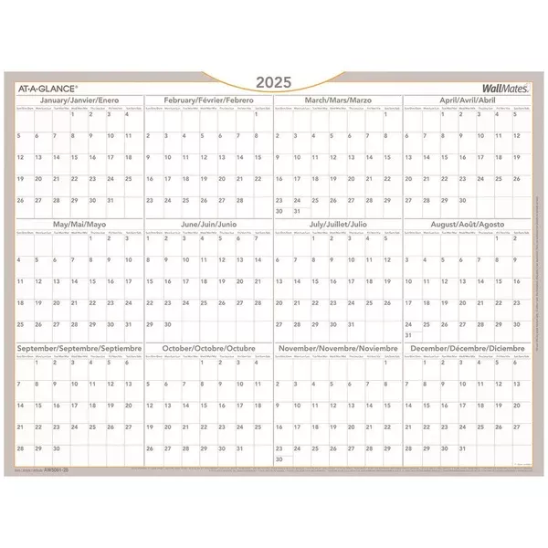 At-A-Glance Wall Calendar (AAGAW5061-28)