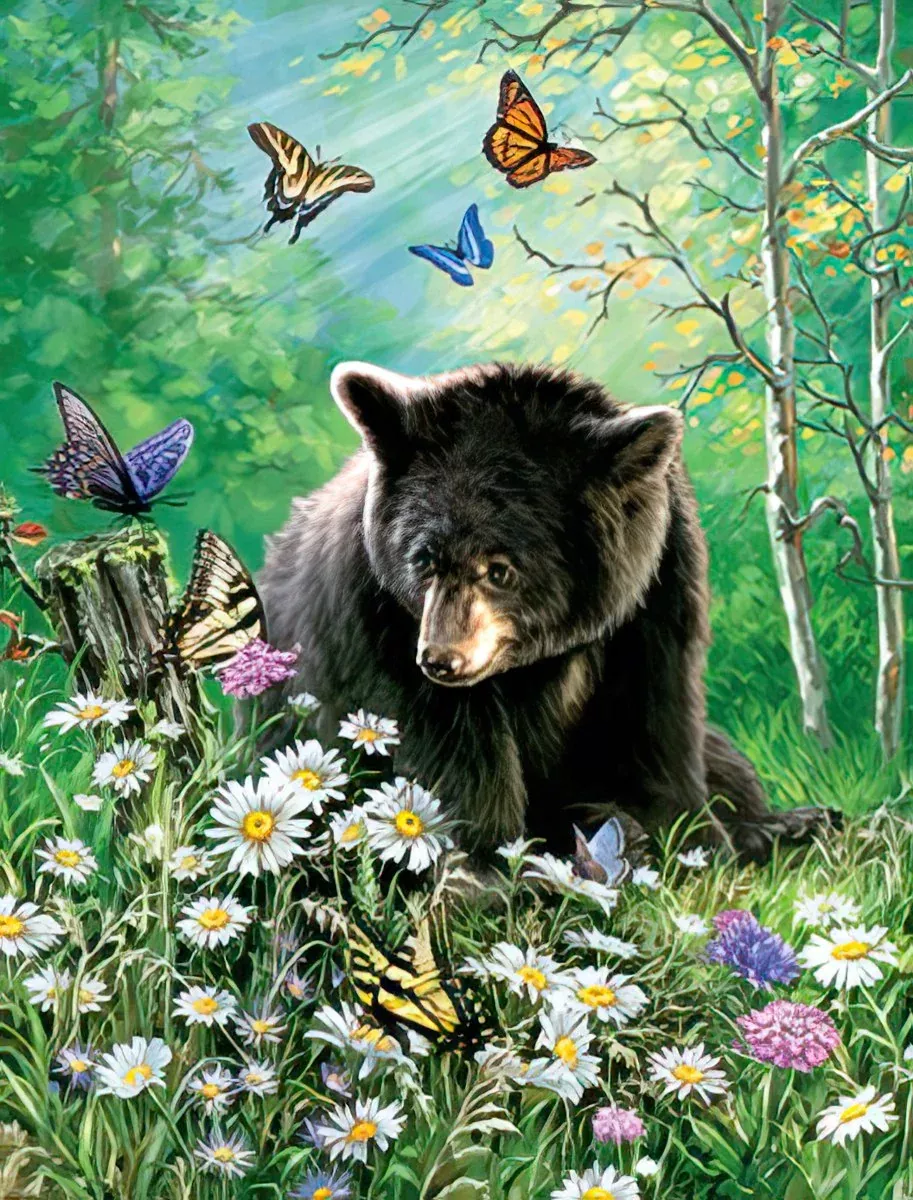 Beary Sweet Notes | Cute Blank Note Card Set