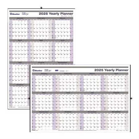 Blueline Net Zero Carbon Erasable/Reversible Yearly Wall Calendar (BLIC177868)