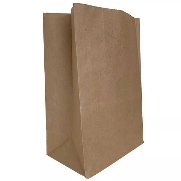 BROWN PAPER BAG 20lb (FOD1002000C00)