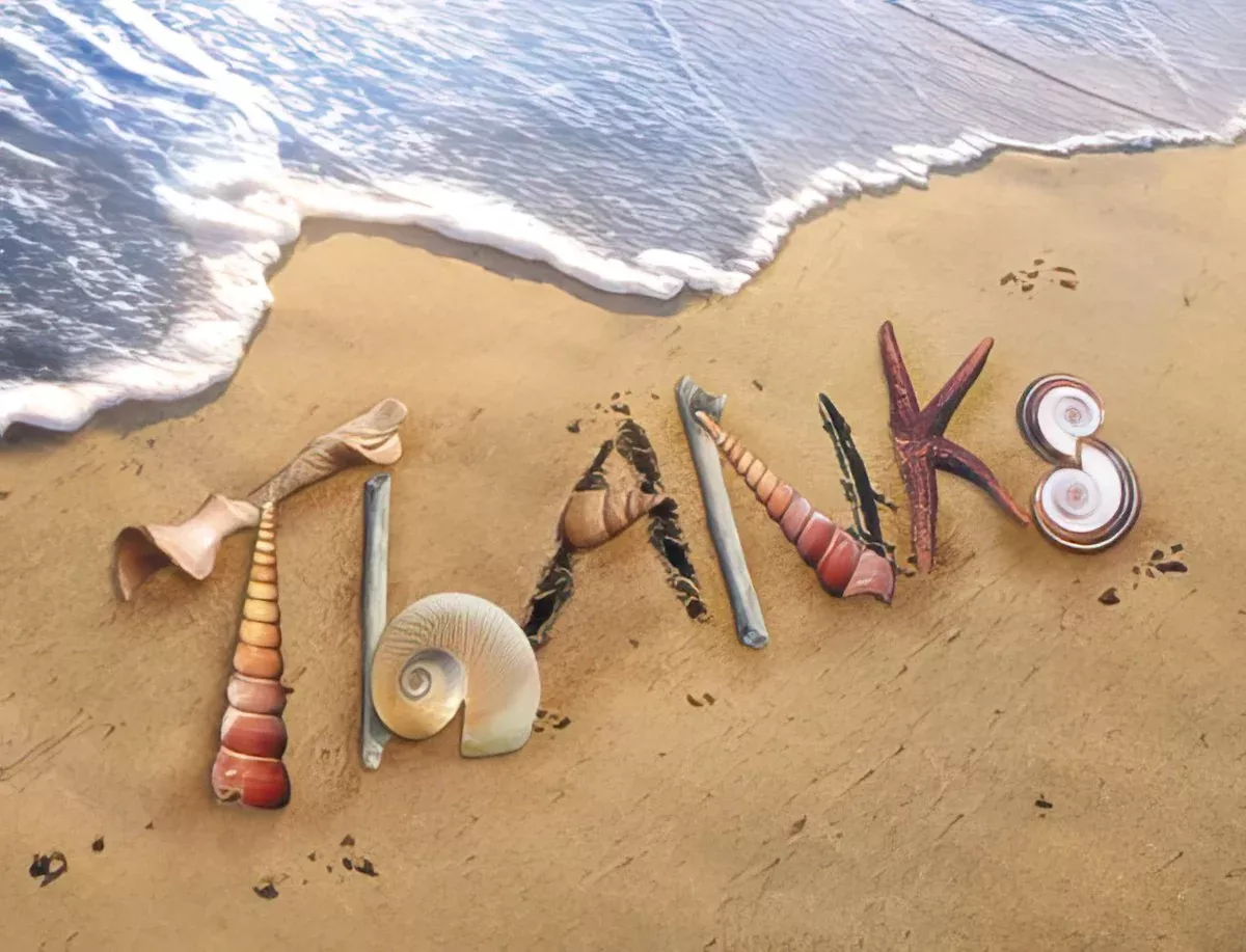 Coastal Gratitude | Lighthearted Blank Note Card Set