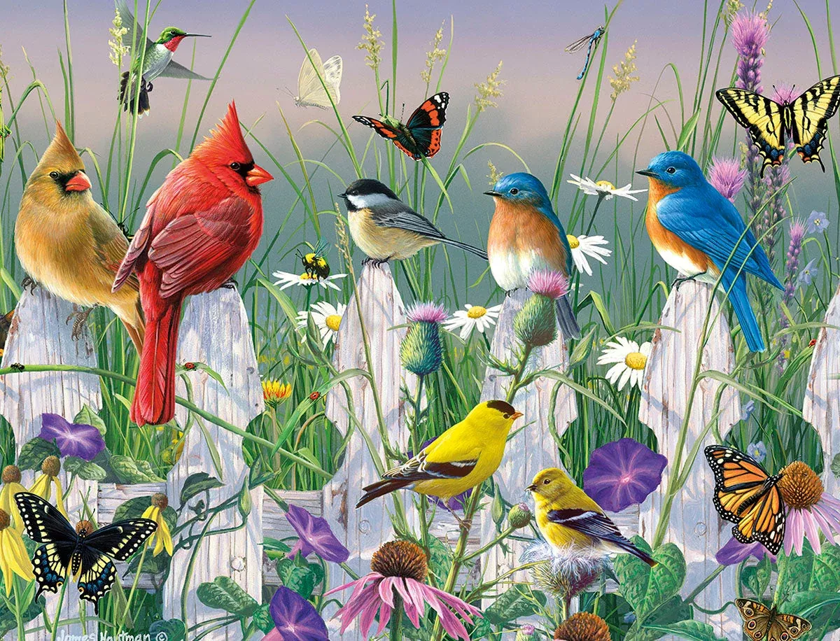 Colorful Birds & Butterflies on Picket Fence Blank Note Cards | Lighthearted Blank Notecard Set