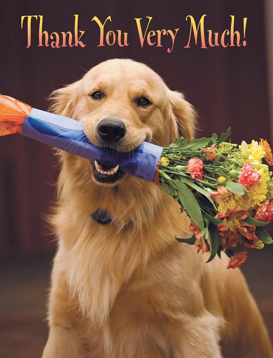 Cute Golden Retriever Note Card Set