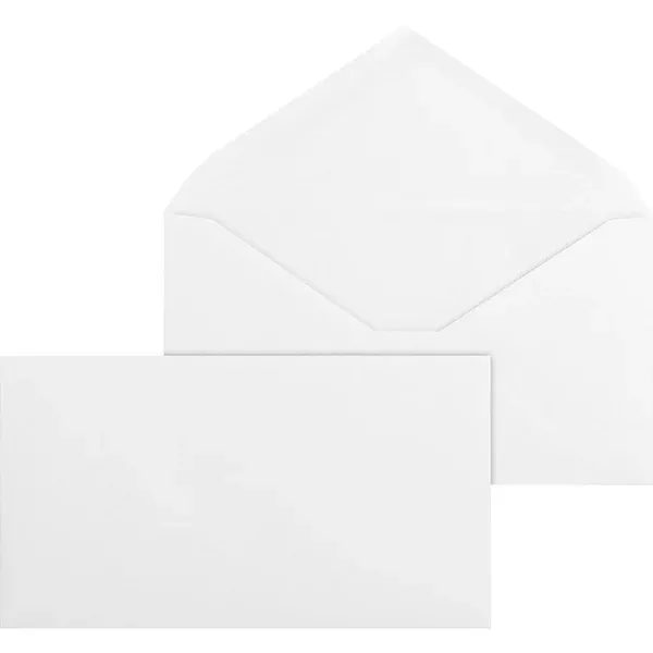ENV,REG,#6-3/4,WE (BSN42252)