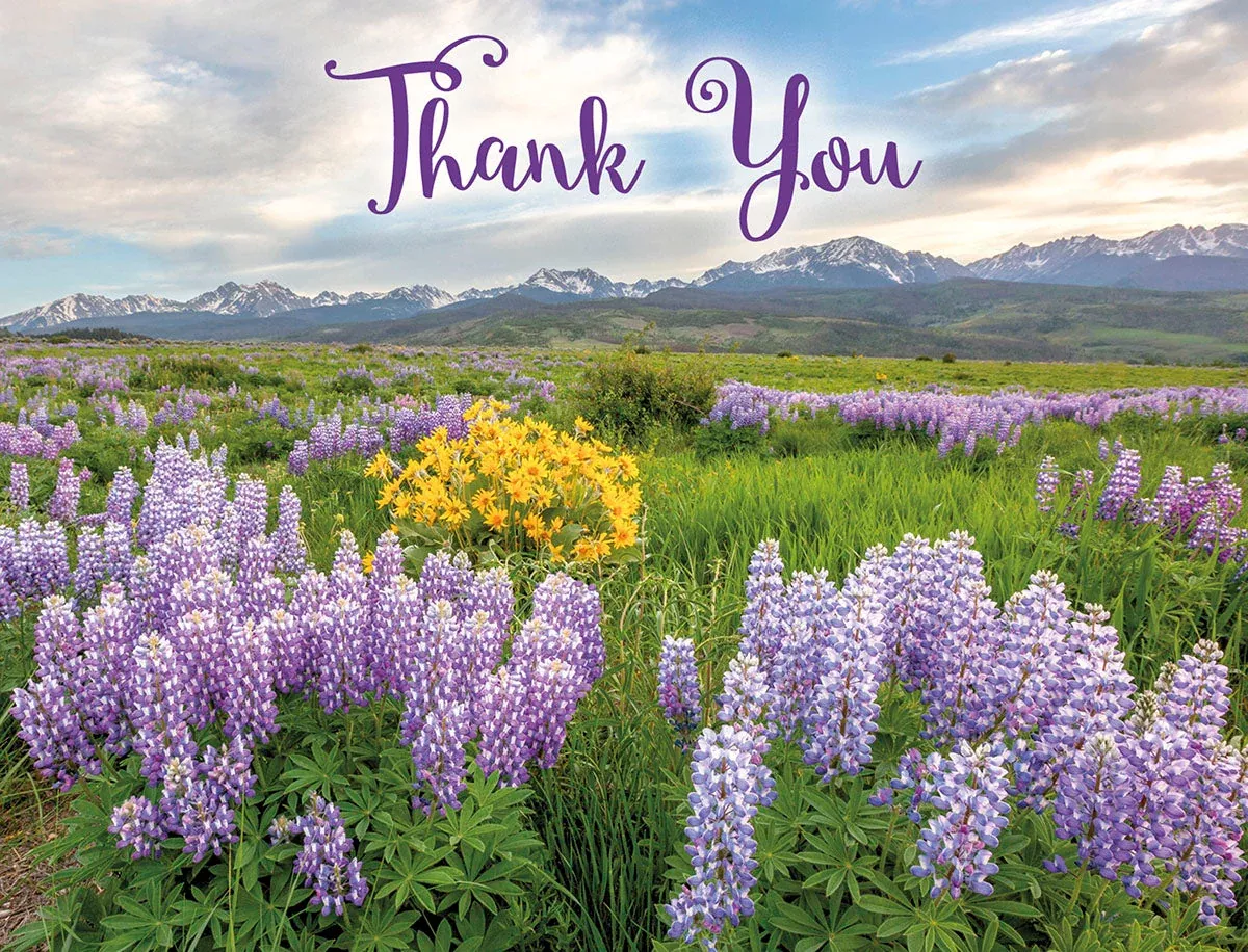 Field of Thanks | Heartfelt Blank Note Card Set