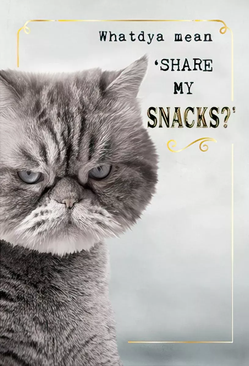 Funny Grumpy Cat 'Share My Snacks?' Magnet | FunnyMagnet