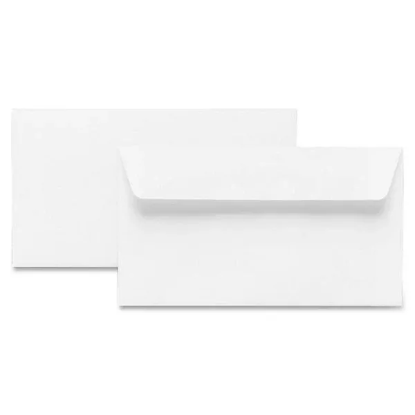 Hilroy Press-It Seal-It Self Adhesive Envelopes (HLR36712)