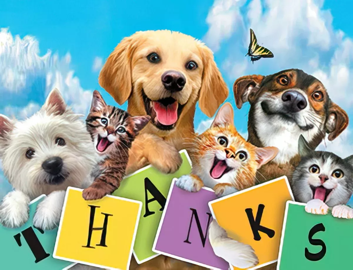 Pawsome Thanks Cards | Cute Blank Note Card Set