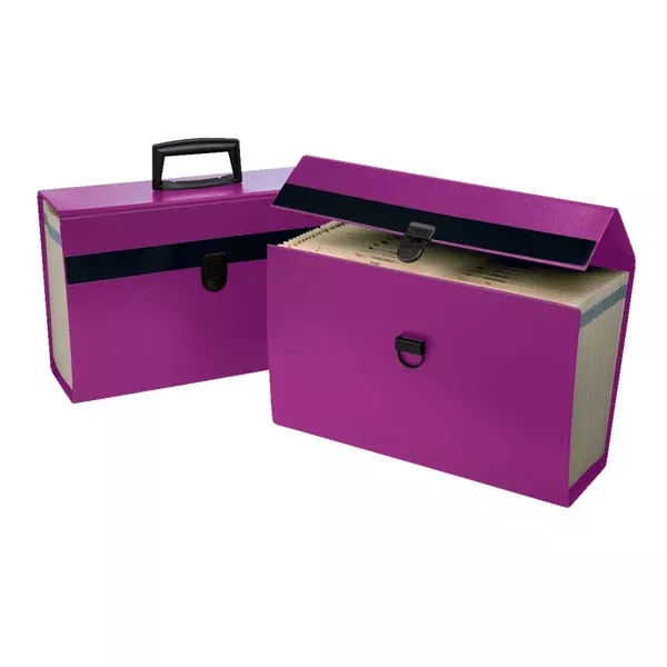 Pendaflex Portafile 01157 Legal, Letter Expanding File (PFX01157)