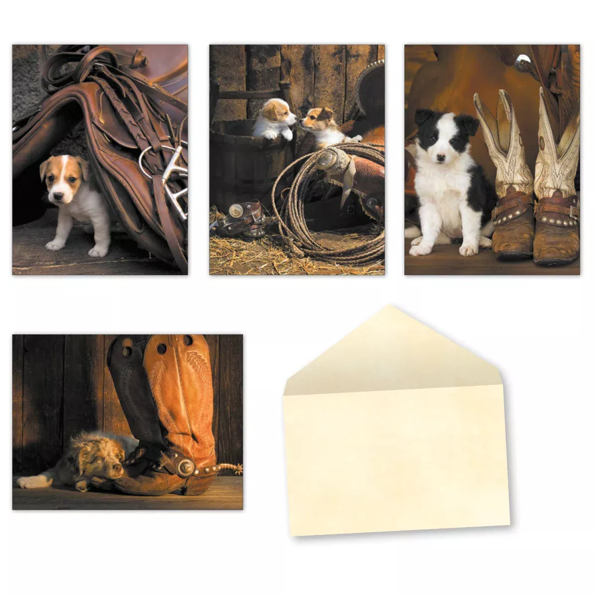 Robert Dawson's Cow Pups Greeting Cards | CuteGreeting Card Assortment