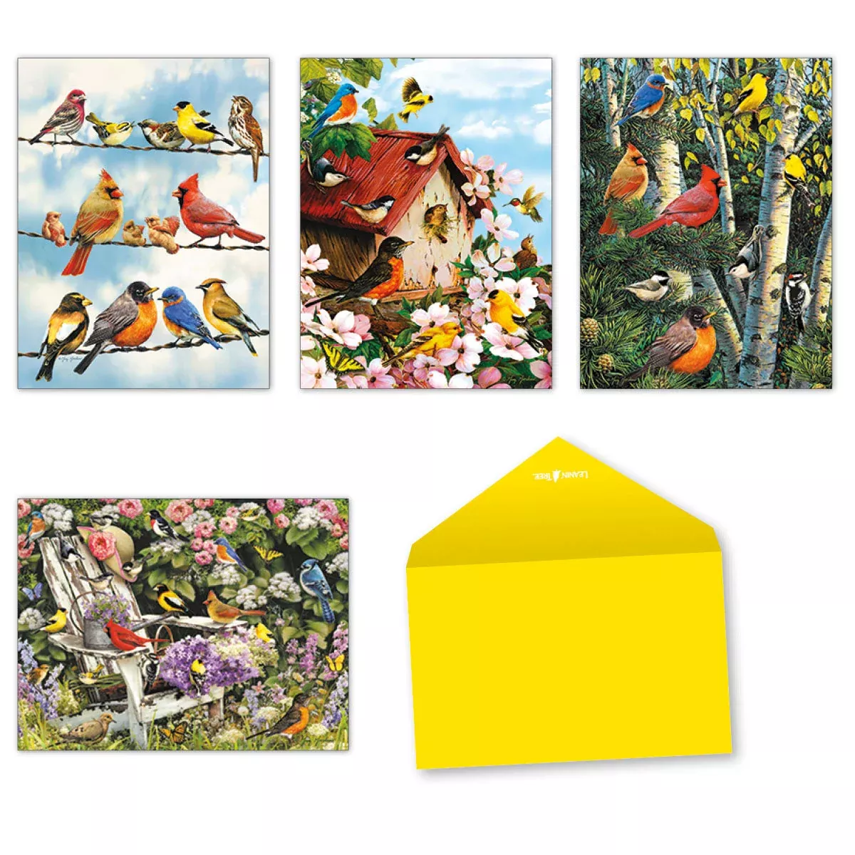Songbirds Notecards by Greg Giordano - Nature Holiday | LightheartedGreeting Card Assortment