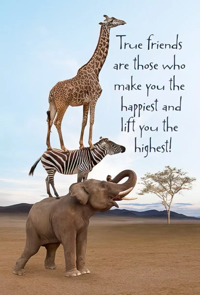 Stacking Up Support | LightheartedMagnet