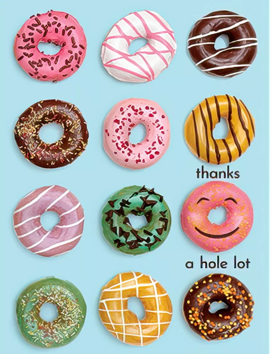 Thanks a Hole Lot Donut Blank Greeting Card | Funny Blank Note Card Set