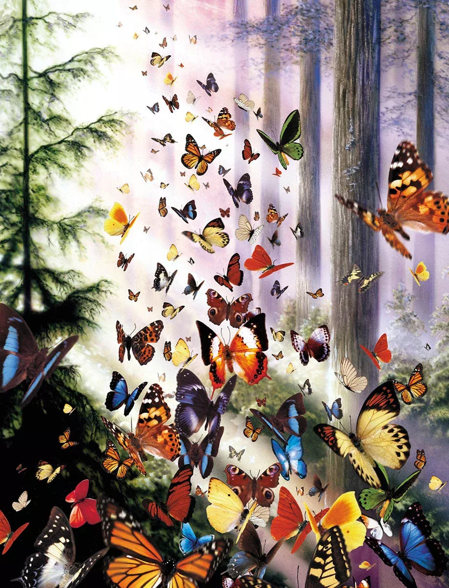 Winged Forest Notes | Inspiring Blank Note Card Set