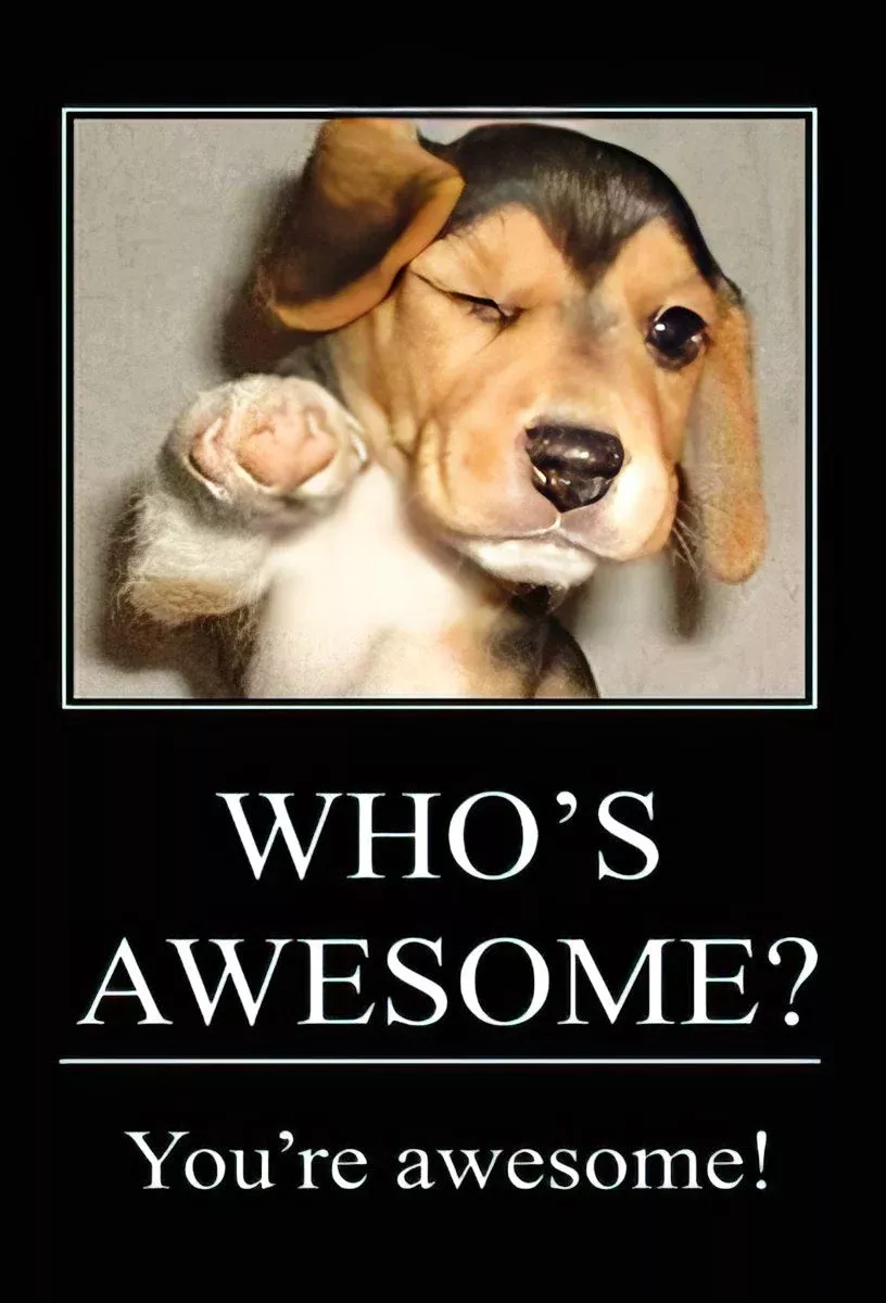 You're Awesome! Cute Puppy Magnet - General Encouraging Gift | EncouragingMagnet
